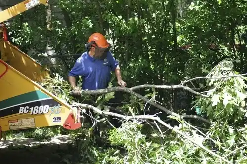 tree services Bryantown